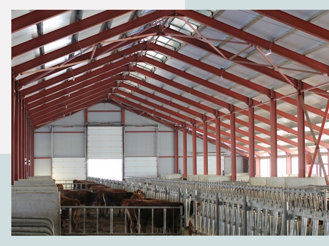 Строительство коровников в Урюпинске