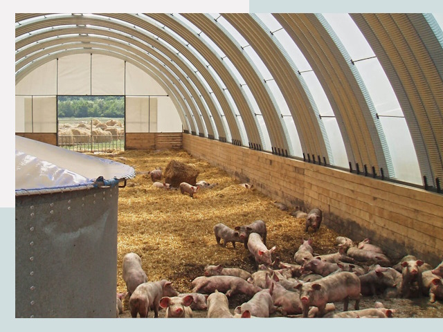 Строительство свинарников в Урюпинске