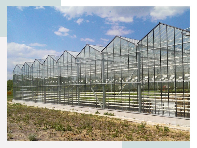 Строительство теплиц в Урюпинск от 618 руб. за м²
